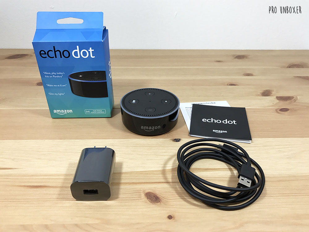 echo dot what's in the box